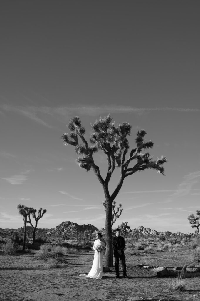 BW portrait of couple posing beside a Joshua Tree 