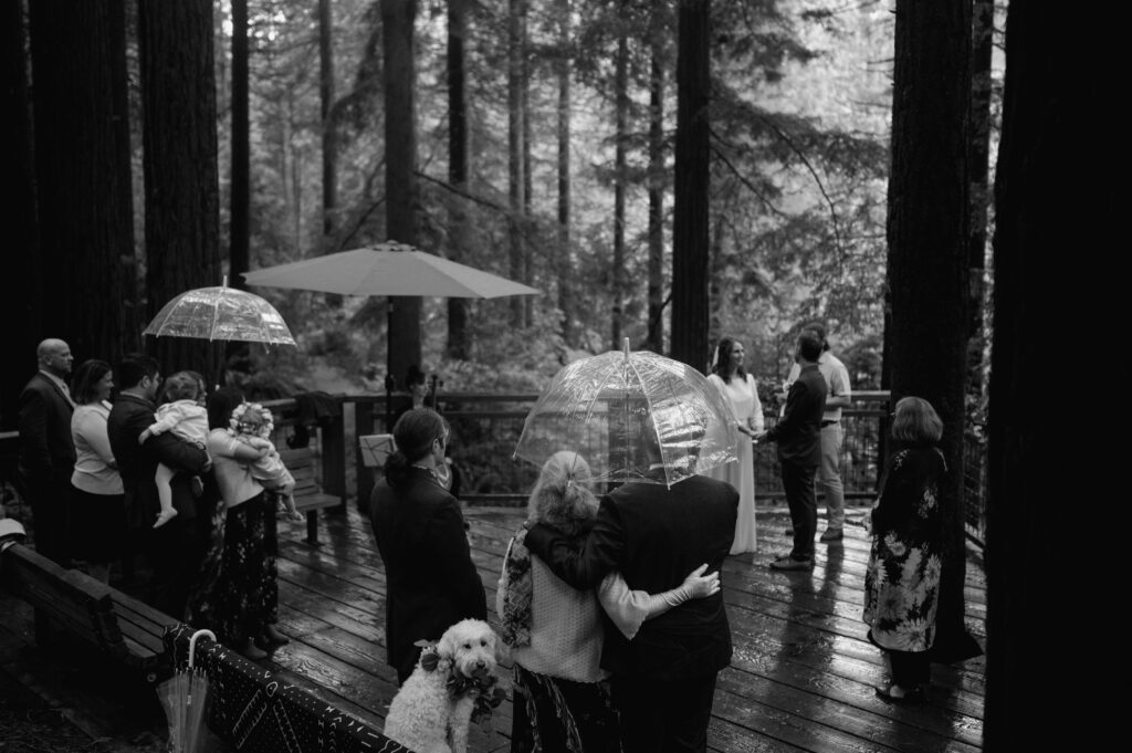 A rainy wedding ceremony at Hoyt Arboretum in Portland, Oregon