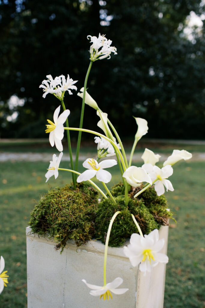 Detail shot of sculptural florals